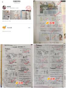 Collage_20220329_135459